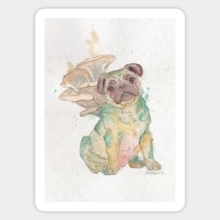 Oyster Pug Sticker